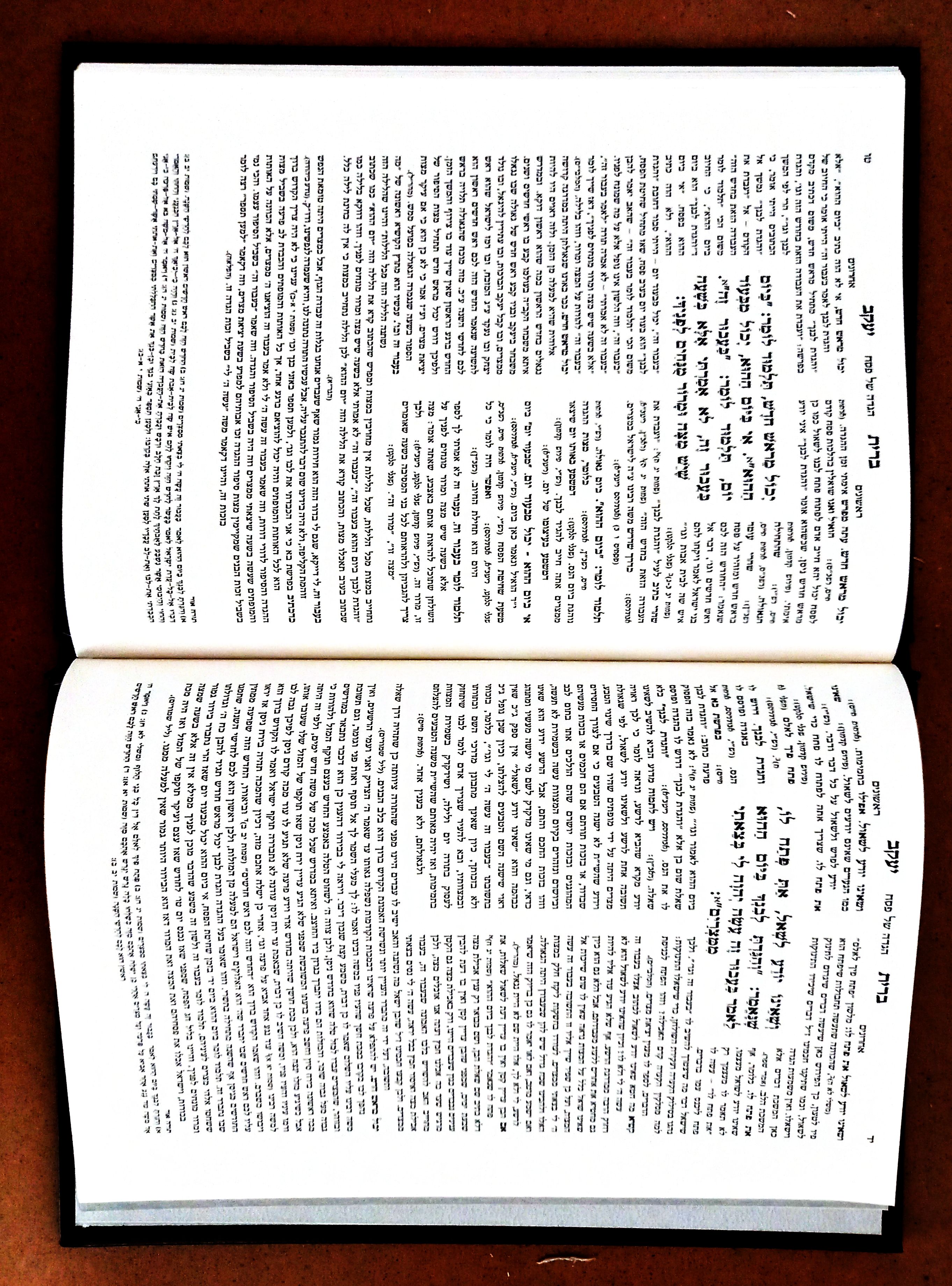 עמוד דוגמה מתוך ההגדה